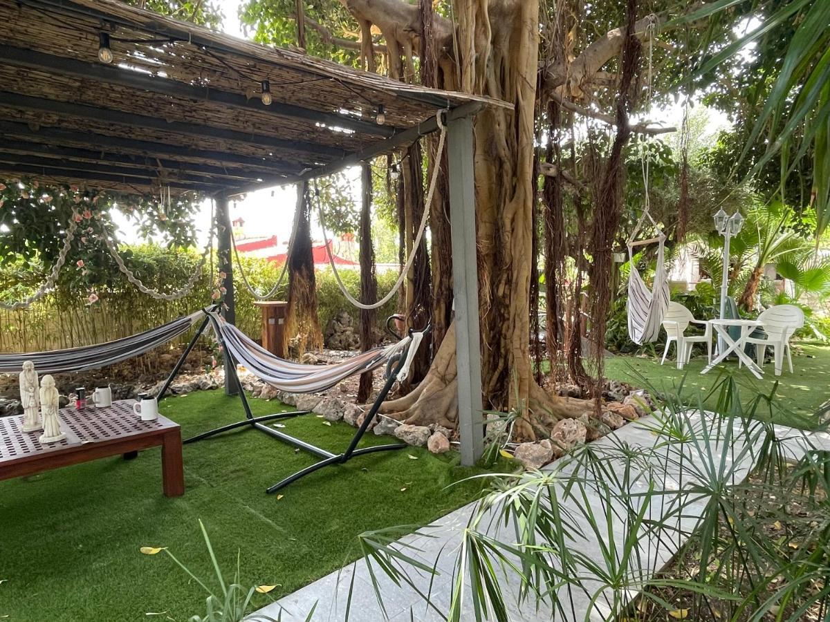1 Habitacion Con Bano Privado Frente A La Piscina, Maximo Para 4 Personas, No Es La Casa Completa,1Cama Y 1 Sofa-Cama San Vicente Raspeig Buitenkant foto